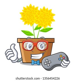 Gamer dahlia flower in the mascot stem