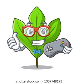 Gamer sassafras leaf in the mascot pots