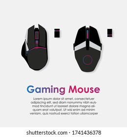 Gamer Work Space Concept, Top View A Gaming Gear, Mouse With Rgb Color On Black Table Background.