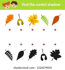 Games for children. Educational worksheet for kids. Leaves and their shadows. Find the right silhouette.