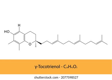 γ Gamma Tocotrienol Skelettstruktur und molekulare Formel. Organische Biomoleküle, einzelne Vektorgrafik