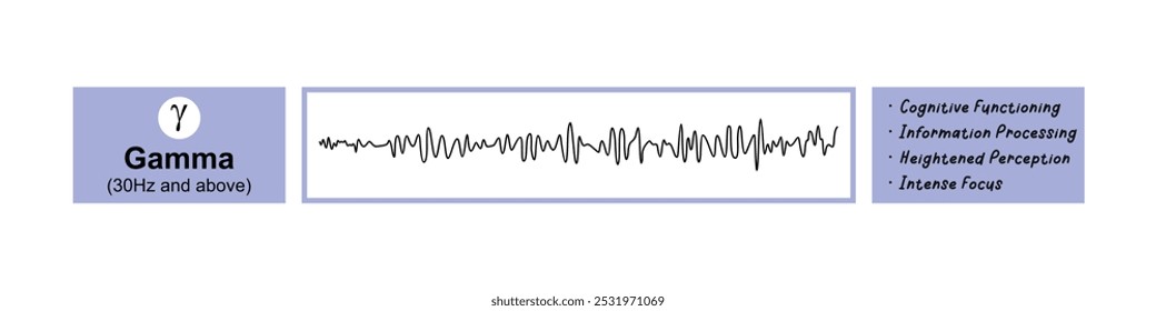 Ondas gama - gráfico de atividade cerebral, melhorando a função cognitiva e a inteligência.