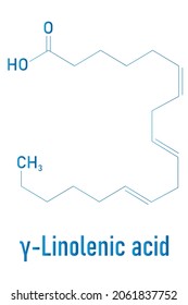 Gamma-linolenic acid (γ-linolenic acid, GLA, gamolenic acid) molecule. Omega-6 fatty acid present in many vegetable oils, including evening primrose, chia, hemp and borage seed oils. Skeletal formula.