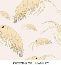 Gammarus seamless pattern