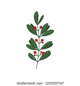 Gand draw Christmas floral elements.Winter plants.Decor for New Year and hristmas.