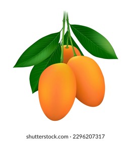 Gandaria mango se ciruela en el diseño de un montón de vectores. Buah remia setar kundang comida malaya con follaje verde aislado en fondo blanco