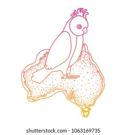 gang gang cockatoo bird over australian map