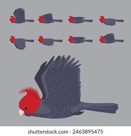 Gang Gang Cockatoo Flying Animation Sequence Cartoon Vector