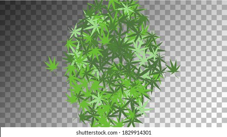 Ganja Collection Ganja Organic Vector. Grüne Arzneimittelproduktion.  Grastextur. Weißes Kräuterhintergrund.  Abstrakte Sammlung Ganja. gelber Marihuana-Hintergrund. 