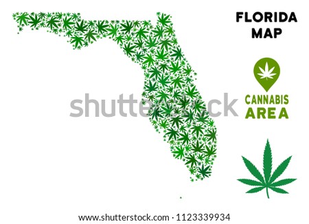 Ganja Florida map mosaic of marijuana leaves. Narcotic distribution template. Vector Florida map is formed of green cannabis leaves. Abstract territory scheme in green color hues.