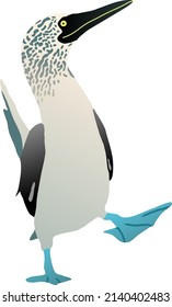 Pájaro de gannet con pie azul. Figura de ilustración de solana vectorial plana aislada