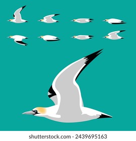 Gannet Bird Flying Animation Sequence Cartoon Vector Illustration