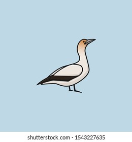 gannet bird logo icon sign vector illustration