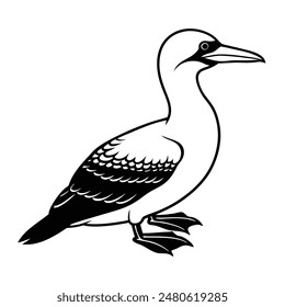  Gannet Bird Silhouette Art Design