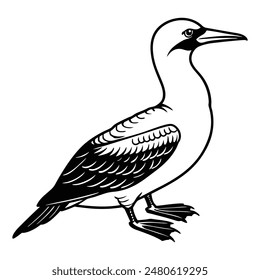  Gannet Bird Silhouette Art Design