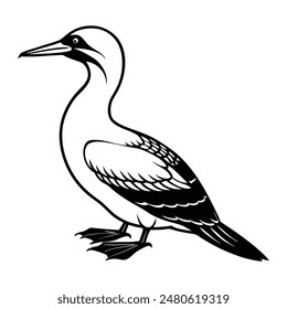  Gannet Bird Silhouette Art Design