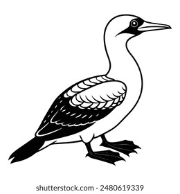  Gannet Bird Silhouette Art Design