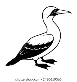  Gannet Bird Silhouette Art Design