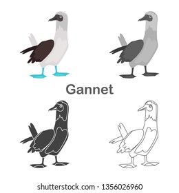 Gannet color flat, simple, line, black and white concept icons set