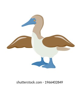 gannet. sea ​​bird. bird with blue paws. Vector illustration isolated on white background.