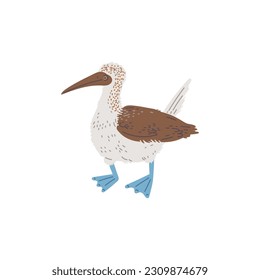 Ave marina de gannet, ilustración de vector plana dibujada a mano aislada en fondo blanco. Dibujo de animales de peluche. Conceptos de vida silvestre y naturaleza.