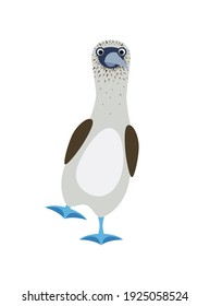 gannets pájaro con pies azules. Ilustración vectorial plana