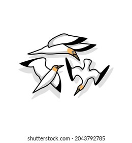 Gannets seabirds logo design vector , in white background.