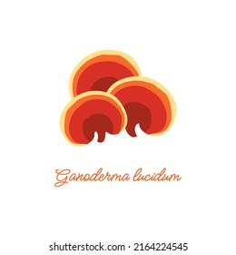 Ganoderma lucidum. Flat vector illustration