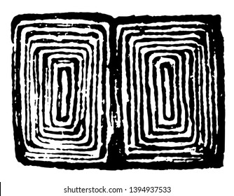 Ganoid Scales of Dipterus in accordance with the structure of their scale vintage line drawing or engraving illustration.