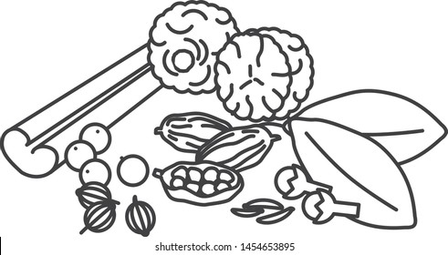 Garam masala icon, vector illustration