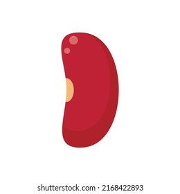 Garbanzo kidney bean icon. Flat illustration of garbanzo kidney bean vector icon isolated on white background