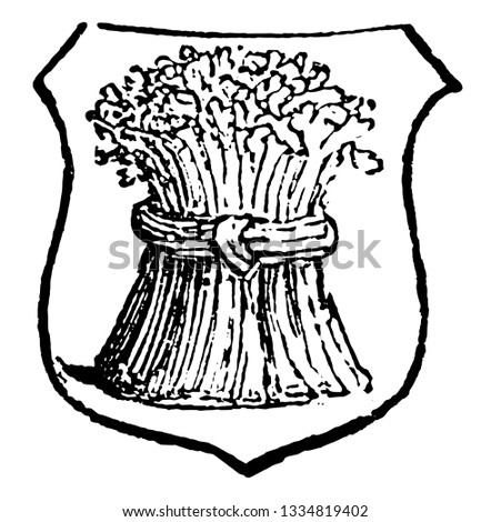 Garbe is a heraldic term for a sheaf of any kind of corn, vintage line drawing or engraving illustration.