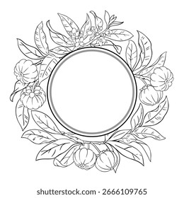 Garcinia Branch Outline Round Frame.  