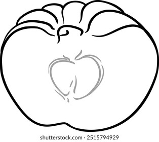 Garcinia Fruit Isolated Outline Illustration.