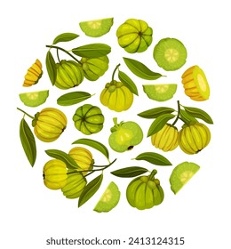 Garcinia Fruit Round Composition Design with Green Plant Vector Template