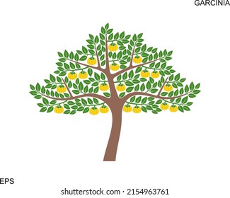 Garcinia fruit tree logo. Isolated garcinia fruit tree on white background