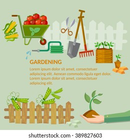 Garden agriculture growing vegetables in the garden 