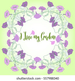 Garden Background with  bindweed  flowers. Vector illustration