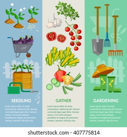 Garden banner garden tools working in the garden vegetable growing vector illustration 
