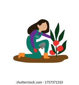 The garden is a beautiful girl with brown hair and overalls holding a shovel and plant the tomatoes standing on one knee