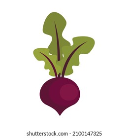 Garden beet icon. Flat illustration of garden beet vector icon isolated on white background