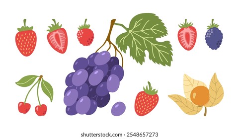 Bayas de jardín con hojas. Fresas, uvas, frambuesas, moras, cerezas, physalis. Dibujado a mano colección de dibujos animados de Vector.