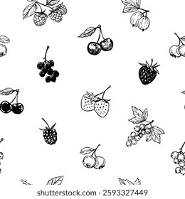 Garden berries, raspberry, currant, strawberry, vector illustration set, hand drawn sketch