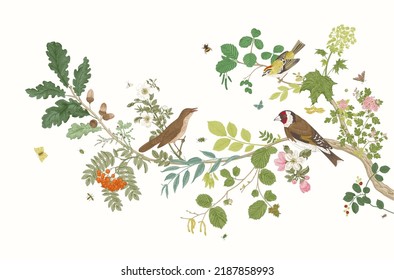 Garden Birds. Branch. Vector vintage illustration. 