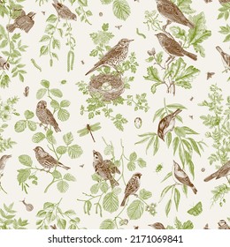 Garden Birds. Seamless pattern. Vector vintage illustration. Green and brown