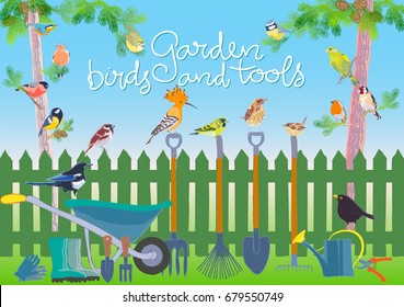 Garden birds and tools set. Handmade vector illustration