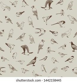 garden birds vector seamless pattern illustrations set
