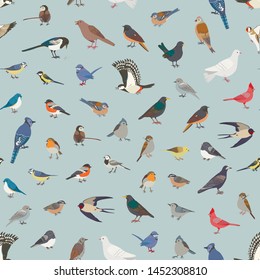 garden birds vector seamless pattern illustrations set