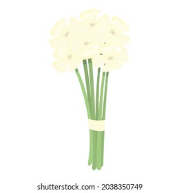 Garden bouquet icon cartoon vector. Spring flower. Floral bunch