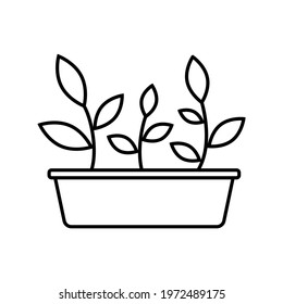 Garden box with seedlings. Black and white simple icon of young sprouts with leaves in the seedling box. Gardening, agriculture, vegetable garden. Logo, Side view. Silhouette. Vector illustration